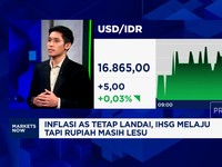 Video: Rupiah Dalam Tekanan & Dolar AS Sentuh Rp16.860, Apa Sebabnya?