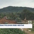 Video: Banjir Sumatra Rusak 107 Ribu Hektare Lahan Pertanian