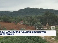 Video: Banjir Sumatra Rusak 107 Ribu Hektare Lahan Pertanian