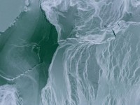 Fenomena Langka, Danau Balaton di Hungaria Membeku