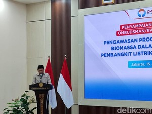 Ombudsman Ungkap Program Biomassa PLTU Belum Optimal