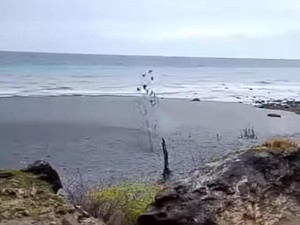 Viral Lumpur Menyembur di Objek Wisata Pantai Liman Kupang