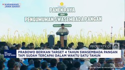 Video: Setahun Pemerintahan Prabowo, RI Resmi Swasembada Pangan