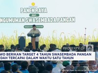 Video: Setahun Pemerintahan Prabowo, RI Resmi Swasembada Pangan