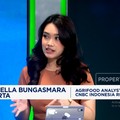 Video: Surplus Beras Dunia Dikuasai Oleh China, Apa Bahayanya?