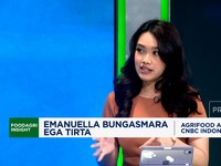Video: Surplus Beras Dunia Dikuasai Oleh China, Apa Bahayanya?