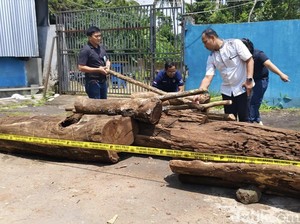 Polres Kuningan Ringkus Komplotan Pembalak Liar di Gunung Ciremai