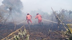 Karhutla Ancam Permukiman, Kubu Raya Tetapkan Status Siaga Darurat