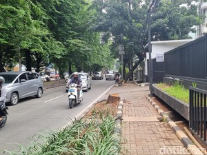 Duduk Perkara ASN Tebang Pohon di Jaksel Berujung Hukuman