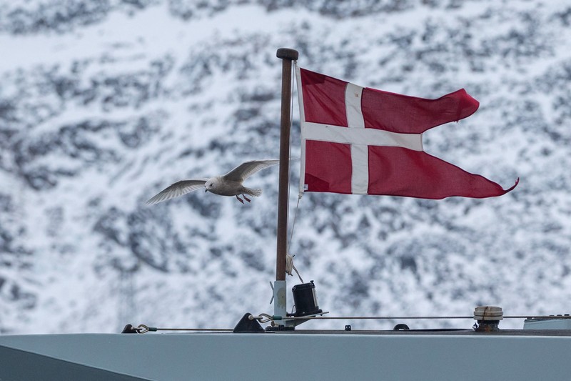 European soldiers attend a briefing during a military exercise in Nuuk, Greenland, in this handout image released on January 16, 2026. Danish Defence/Handout via REUTERS    THIS IMAGE HAS BEEN SUPPLIED BY A THIRD PARTY. NO RESALES. NO ARCHIVES. MANDATORY CREDIT
