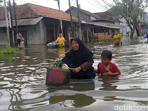 Banjir Tirto Pekalongan Makin Parah, Warga: Di Rumah Sudah 1 Meter