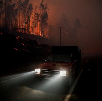 Kebakaran Hutan Tewaskan 15 Orang, 50 Ribu Warga Terpaksa Mengungsi