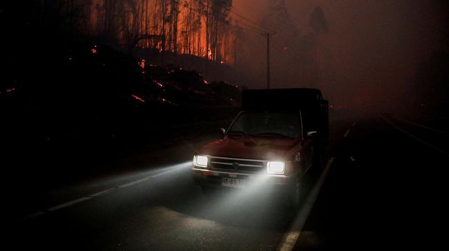 Kebakaran Hutan Tewaskan 15 Orang, 50 Ribu Warga Terpaksa Mengungsi
