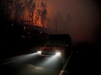 Kebakaran Hutan Tewaskan 15 Orang, 50 Ribu Warga Terpaksa Mengungsi