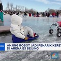 Video: Anjing Robot Jadi Penarik Kereta Luncur di Arena Es Beijing