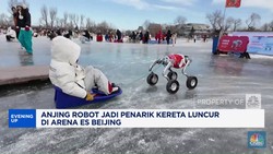 Video: Anjing Robot Jadi Penarik Kereta Luncur di Arena Es Beijing