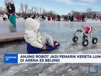 Video: Anjing Robot Jadi Penarik Kereta Luncur di Arena Es Beijing