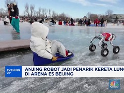 Video: Anjing Robot Jadi Penarik Kereta Luncur di Arena Es Beijing