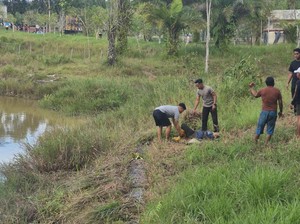 Polisi Selamatkan Emak-emak Diterkam Buaya 3 Meter di Tarakan