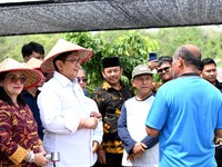 Top! Wamen Viva Yoga Dorong Nanas Jadi Komoditas Unggulan