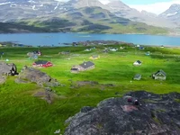 Pertanian Viking Hidupi Greenland: Negara Jadi Tameng, Domba Jadi Raja