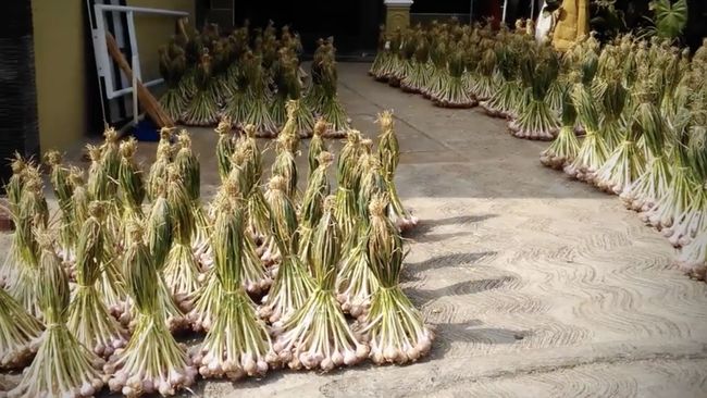 RI Impor 95% Bawang Putih-Dikuasai China, Kemendag Minta Evaluasi Ini