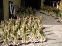 RI Impor 95% Bawang Putih-Dikuasai China, Kemendag Minta Evaluasi Ini