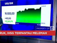 Video: IHSG & Rupiah Anjlok Berjamaah, Dolar AS Tembus Rp 16.920