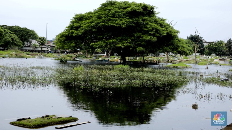 TPU Semper terendam banjir karena rendahnya permukaan tanah. (CNBC Indonesia/Tri Susilo)