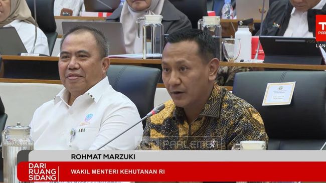 Lahan Sawit-Tambang Ilegal Ditarik Negara, 24 Izin Usaha Hutan Diaudit