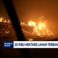 Video: Chili Tetapkan Status Darurat Usai Kebakaran Hutan