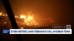 Video: Chili Tetapkan Status Darurat Usai Kebakaran Hutan