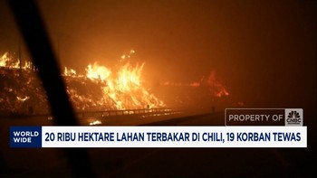 Video: Chili Tetapkan Status Darurat Usai Kebakaran Hutan
