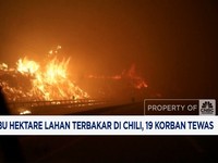 Video: Chili Tetapkan Status Darurat Usai Kebakaran Hutan