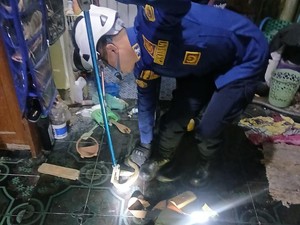 Ular Ngumpet di Lemari Warga Bantul, Ketahuan Berkat Terendus Kucing