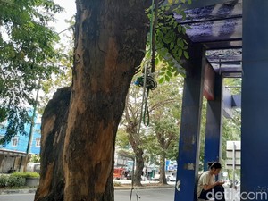 Atap Halte di Jalan Gatot Subroto Bolong, Warga Ngeluh Tak Bisa Berteduh