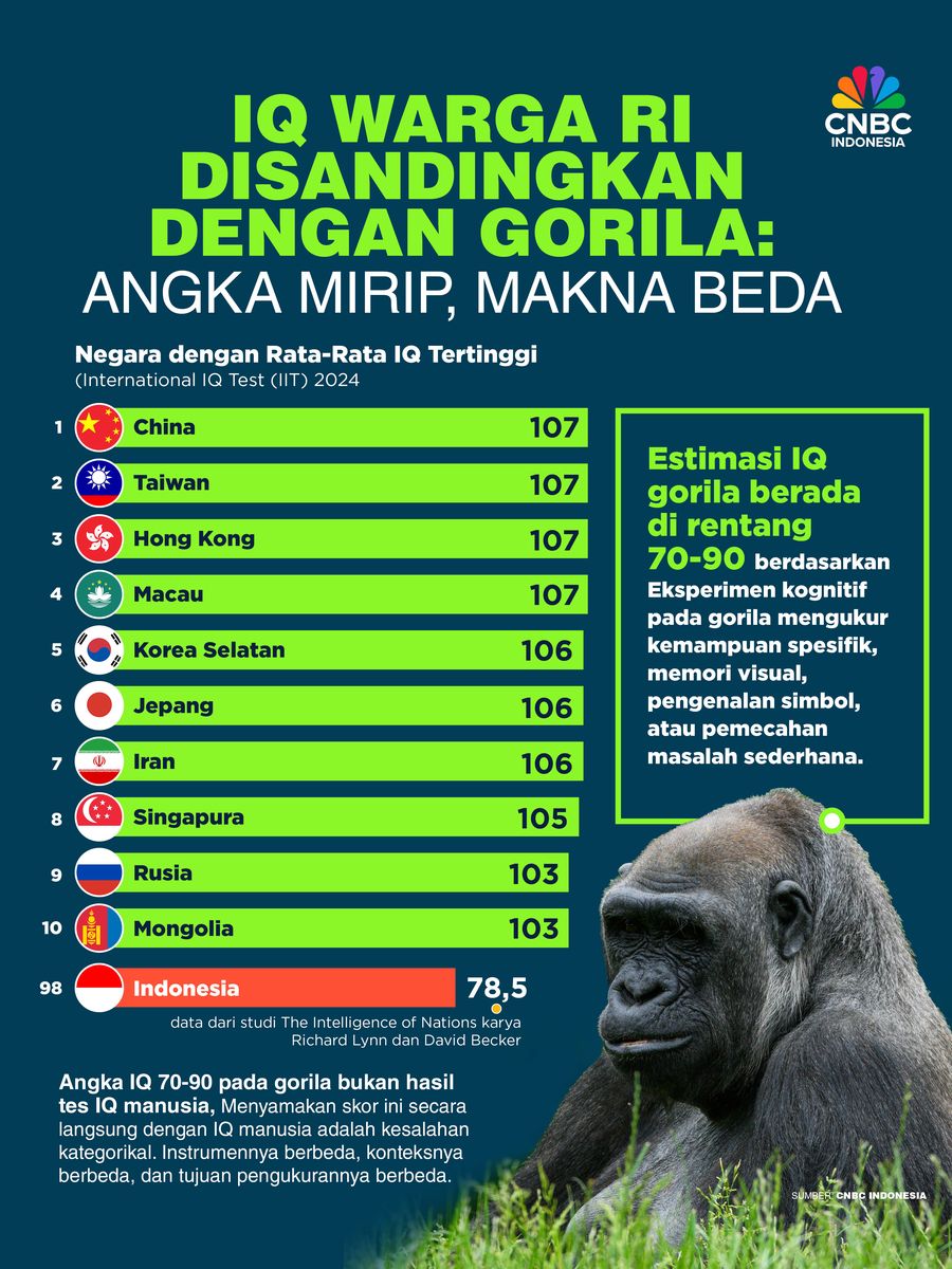 IQ Warga RI Disandingkan dengan Gorila: Angka Mirip, Makna Beda