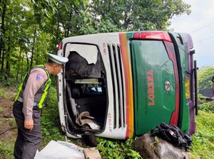 Bus Lorena Jurusan Bali-Bogor Terguling di Baluran, 5 Penumpang Luka