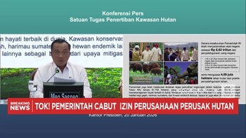 Video: Prabowo Cabut Izin 28 Perusahaan Penyebab Banjir Sumatra