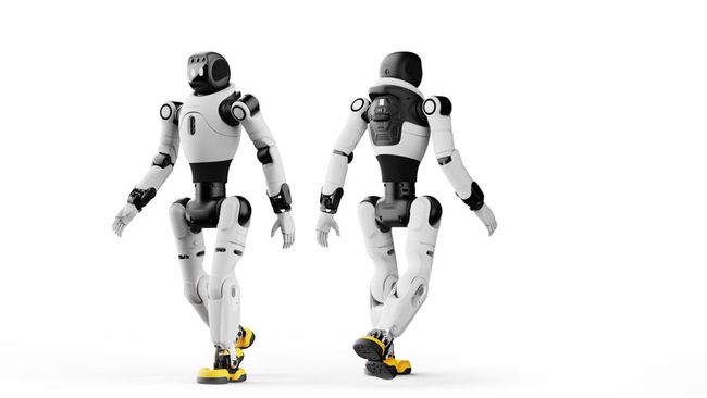 Perusahaan China Tak Terkenal Diam-diam Raja Robot Dunia, Tesla Buncit