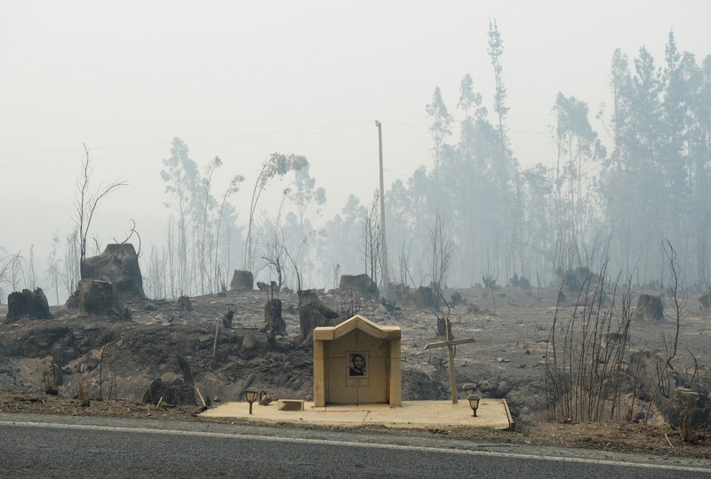 Sebuah tugu peringatan menandai lokasi di mana seseorang meninggal di masa lalu, di tengah tanah hangus setelah kebakaran hutan menghancurkan ratusan rumah, menewaskan beberapa orang dan memaksa evakuasi massal, sementara pihak berwenang terus berjuang melawan hampir dua lusin kobaran api yang diperparah oleh panas ekstrem dan angin kencang, di jalan antara Lirquen dan Punta de Parra, Chili, 19 Januari 2026. (REUTERS/Jose Luis Saavedra)