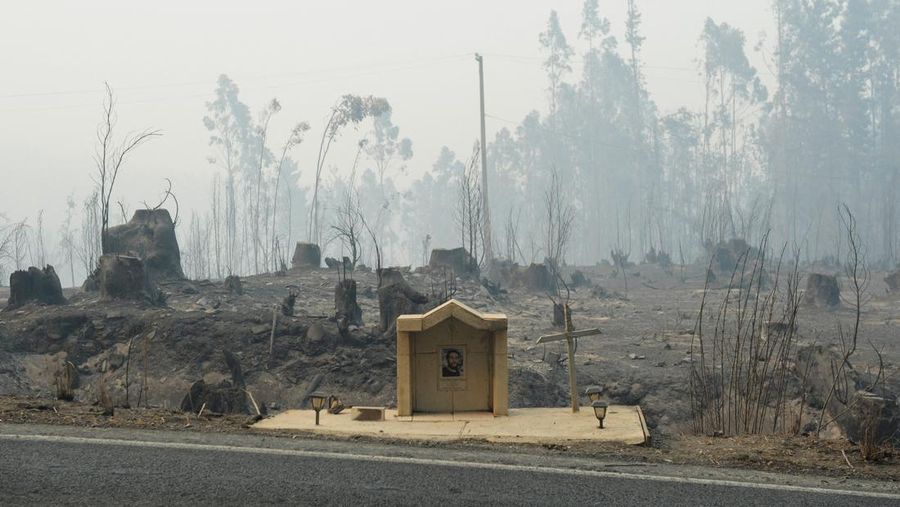 Sebuah tugu peringatan menandai lokasi di mana seseorang meninggal di masa lalu, di tengah tanah hangus setelah kebakaran hutan menghancurkan ratusan rumah, menewaskan beberapa orang dan memaksa evakuasi massal, sementara pihak berwenang terus berjuang melawan hampir dua lusin kobaran api yang diperparah oleh panas ekstrem dan angin kencang, di jalan antara Lirquen dan Punta de Parra, Chili, 19 Januari 2026. (REUTERS/Jose Luis Saavedra)