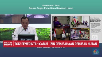Video:Tok! Pemerintah Cabut 28 Izin Perusahaan Penyebab Banjir Sumatra