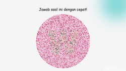 Tes Buta Warna Ini Bisa Bikin Salah Fokus, Buktikan Ketajaman Mata di Sini