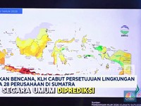 Video:KLH Cabut Persetujuan Lingkungan Kepada 28 Perusahaan di Sumatra