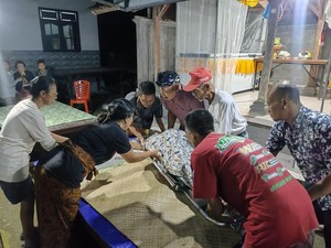 Tragis Pasutri di Jembrana Tewas Diserang Kawanan Tawon