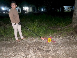 Viral Burung Hantu Ditembak Mati, Wanita di Belu NTT Ditangkap