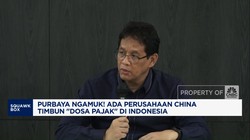 Video: Purbaya Ngamuk! Perusahaan China Timbun 