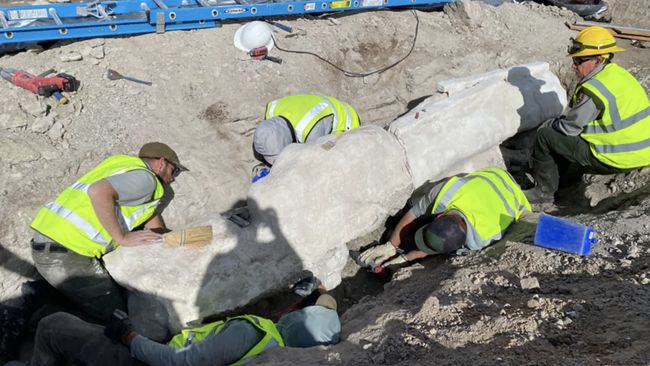 Geger Tulang Dinosaurus Raksasa 1.361 Kg Ditemukan di Tempat Parkir