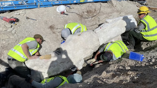 Makhluk Raksasa 28 Meter Ditemukan di China, Ilmuwan Kaget